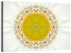 White Flower Mandala Kaleidoscope Wall Art
