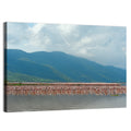 Flock of Flamingos at Lake Bogoria Wall Art