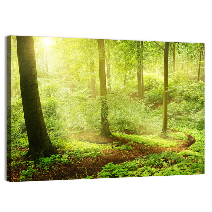 Sunlit Forest Path Wall Art as a canvas print