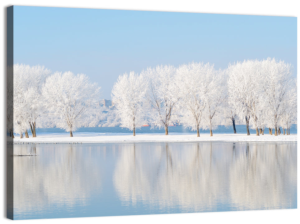 Frosted Winter Trees Reflected on a Quiet Lake Wall Art, canvas print, landscape