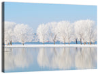 Frosted Winter Trees Reflected on a Quiet Lake Wall Art