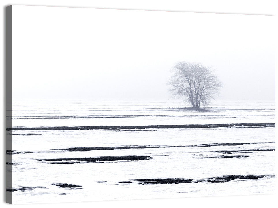 Winter Landscape Wall Art