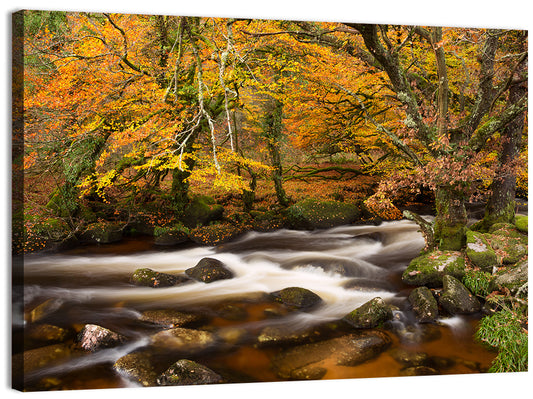 Dartmoor National Park Wall Art