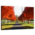 Frederick Farm Road Wall Art