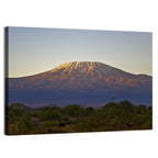 Mount Kilimanjaro Sunset Wall Art