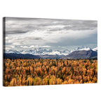 Talkeetna Autumn Landscape Wall Art