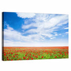 Red Poppy Field Wall Art