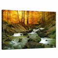 Sunlit Forest Stream Wall Art