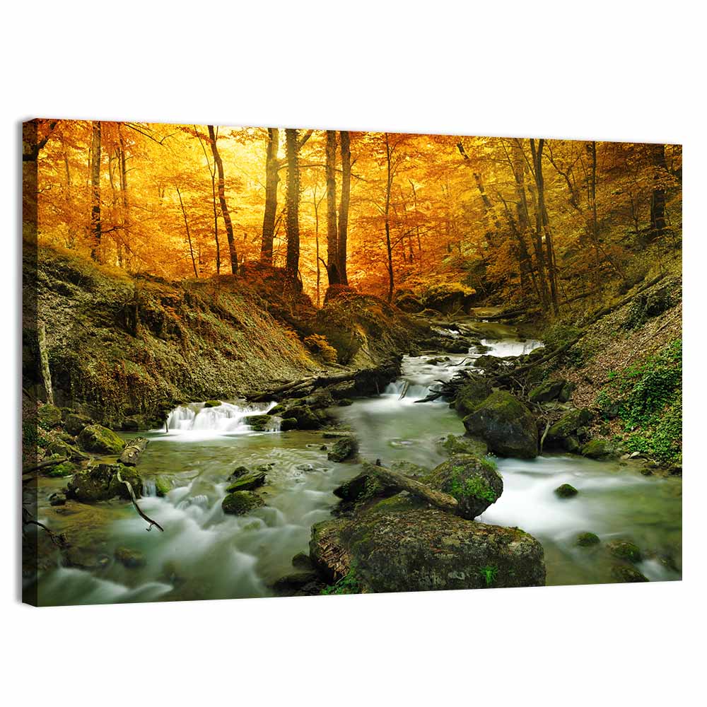 Forest Water Stream Wall Art