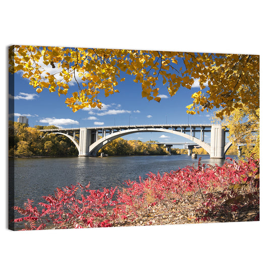 Ford Parkway Bridge Mississippi River Wall Art