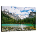 Lake O'hara Wall Art