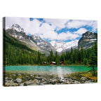 Lake O'hara Wall Art
