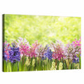 Hyacinth Cluster in Bloom Wall Art