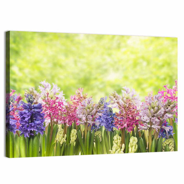 Hyacinth Cluster in Bloom Wall Art as a canvas print