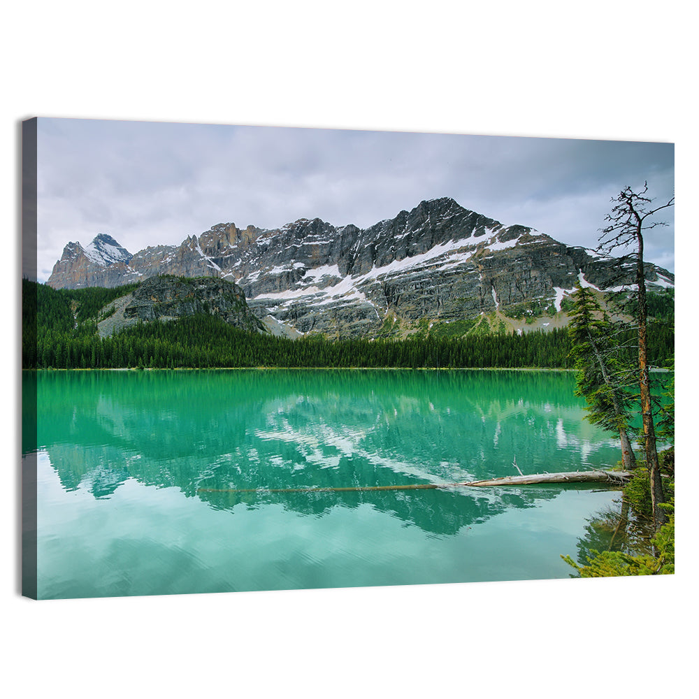 Lake O'hara Reflection Wall Art, canvas print, landscape