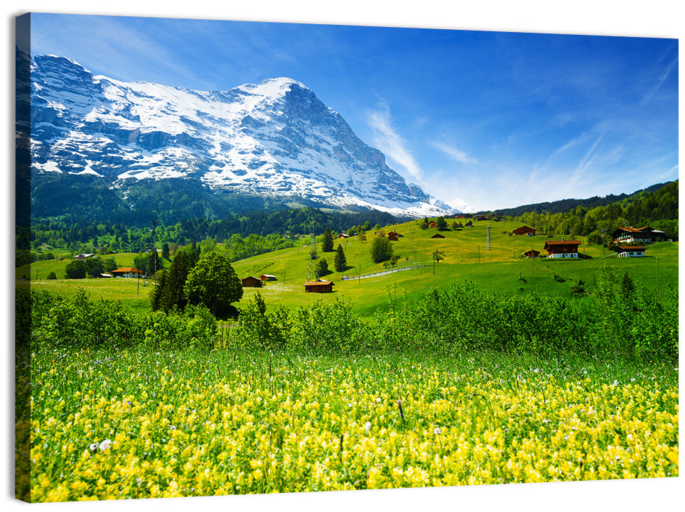 Alpine Wildflower Meadow Wall Art