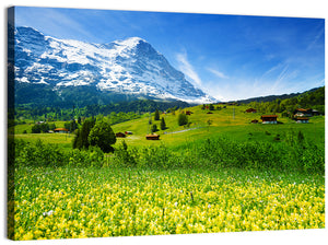 Alps Floral Field Wall Art