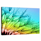 Dewy Dandelion Close-up Wall Art