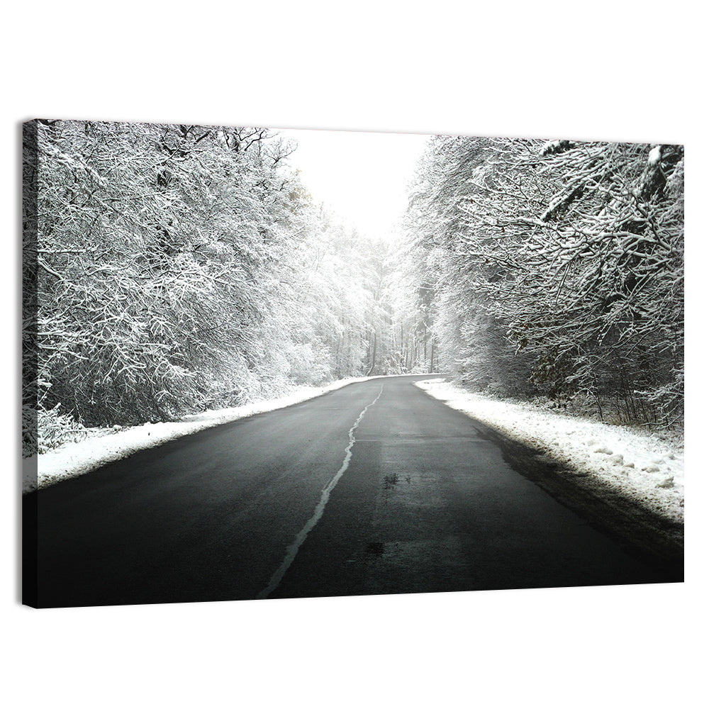 Foggy Winter Road Wall Art