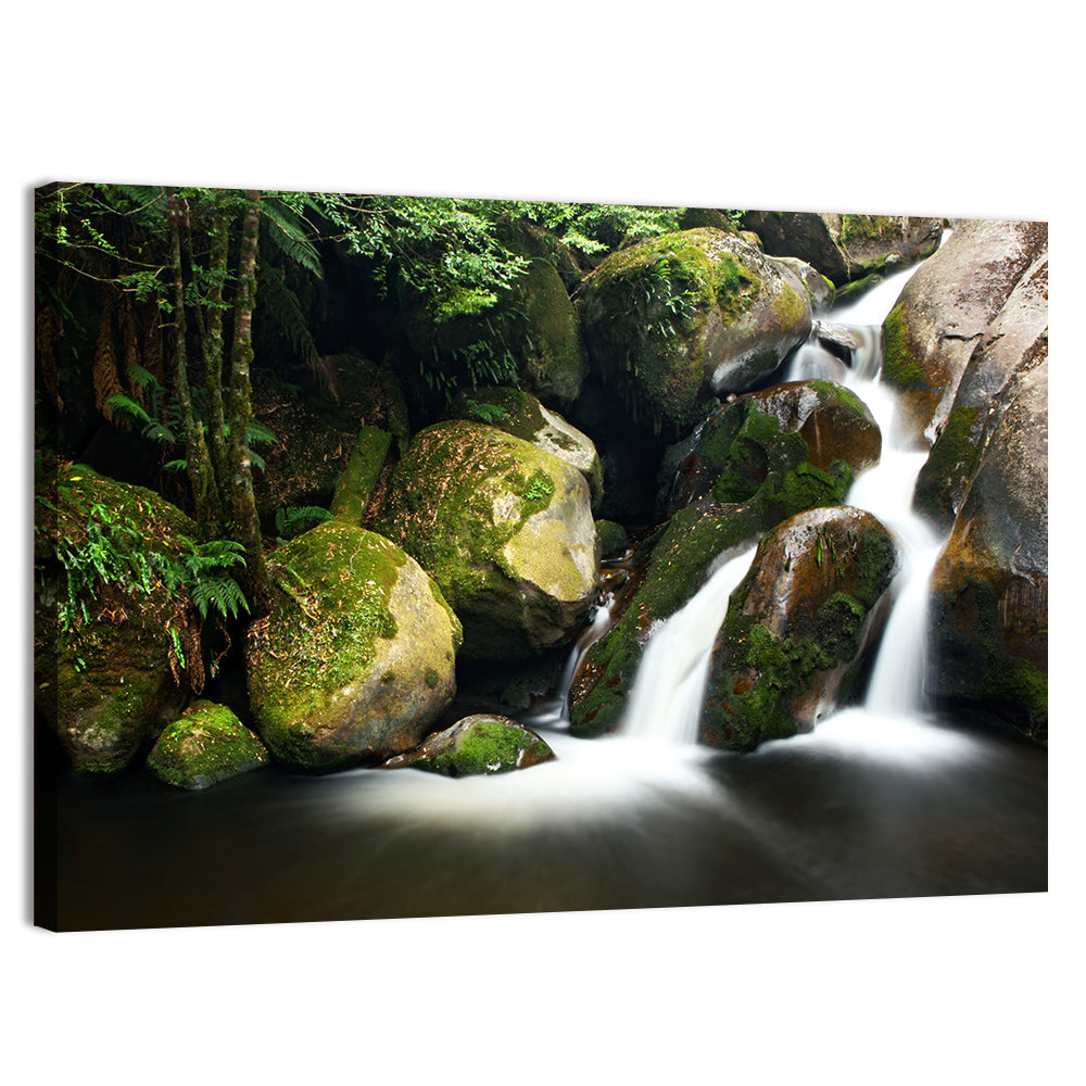 Rainforest Waterfall with Moss Covered Boulders Wall Art