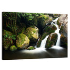 Rainforest Waterfall with Moss Covered Boulders Wall Art