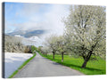 Season Change Road to Snowy Mountain Wall Art