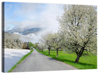 Season Change Road to Snowy Mountain Wall Art