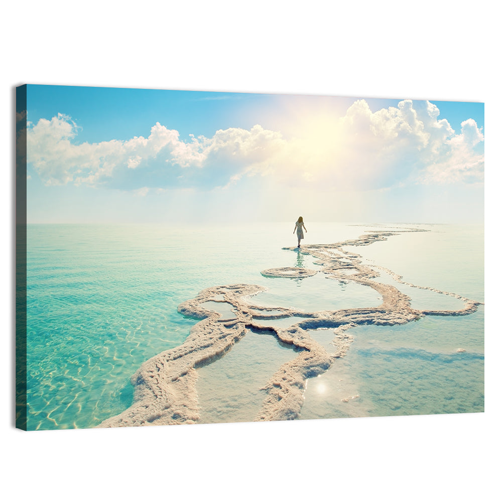 Dead Sea Salty Shore Wall Art