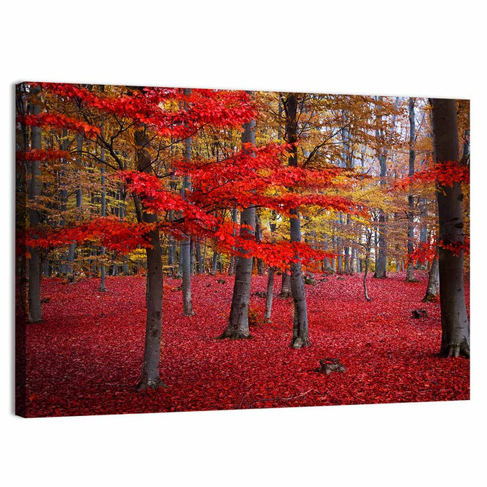Crimson Autumn Forest Wall Art as a canvas print