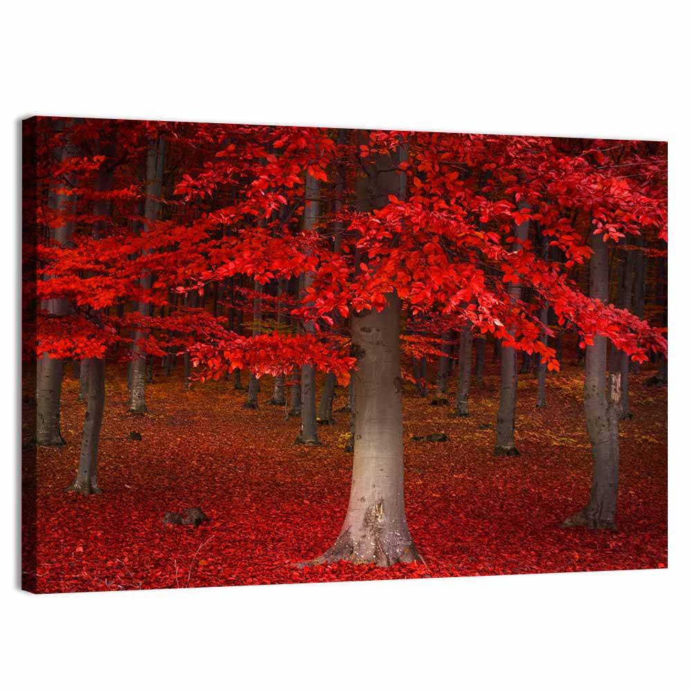 Red Forest Wall Art