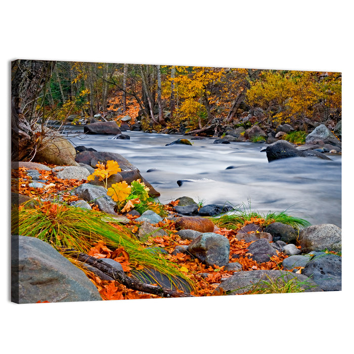 Golden Autumn Forest Creek Wall Art as a canvas print