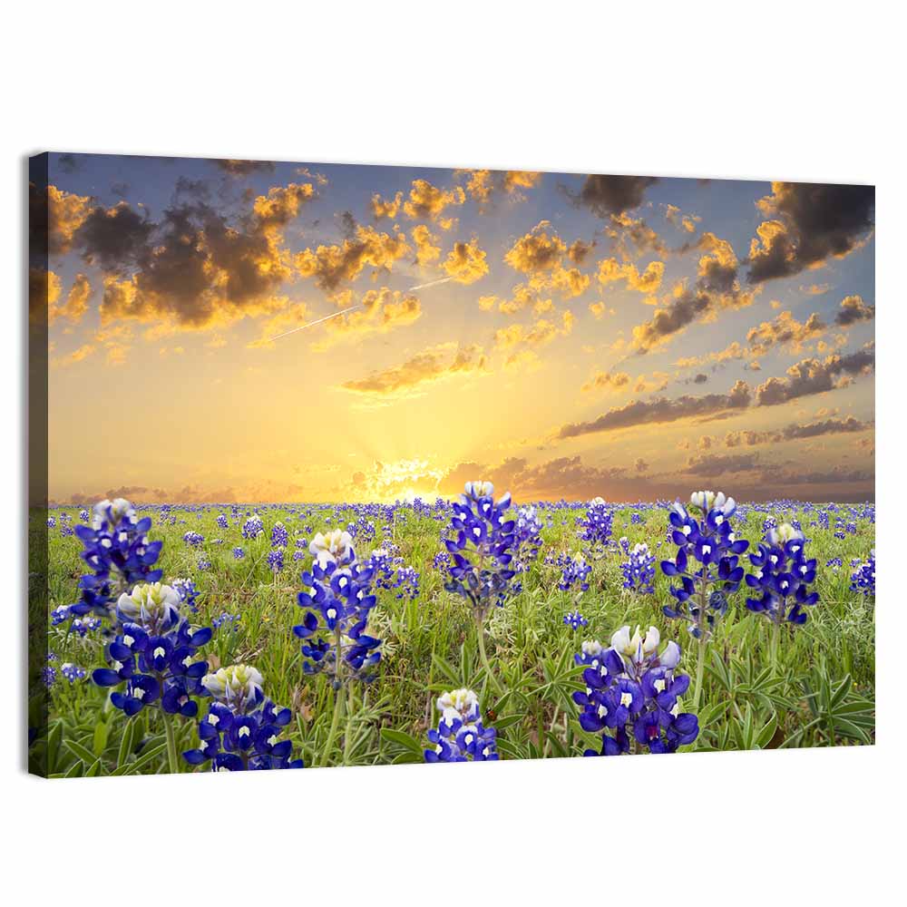 Bluebonnet Field at Sunset Wall Art
