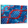 Glowing Dna Helix Wall Art