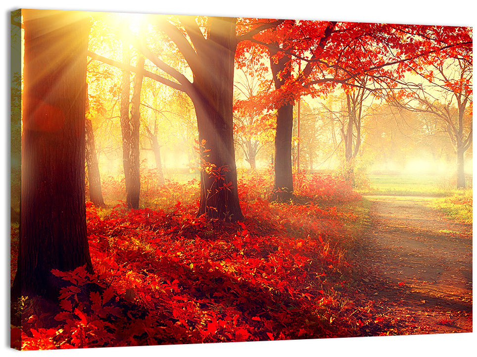 Sunlit Forest Path Wall Art