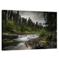 Mossy Forest Stream Wall Art