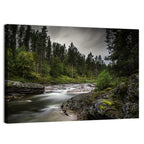 Mossy Forest Stream Wall Art