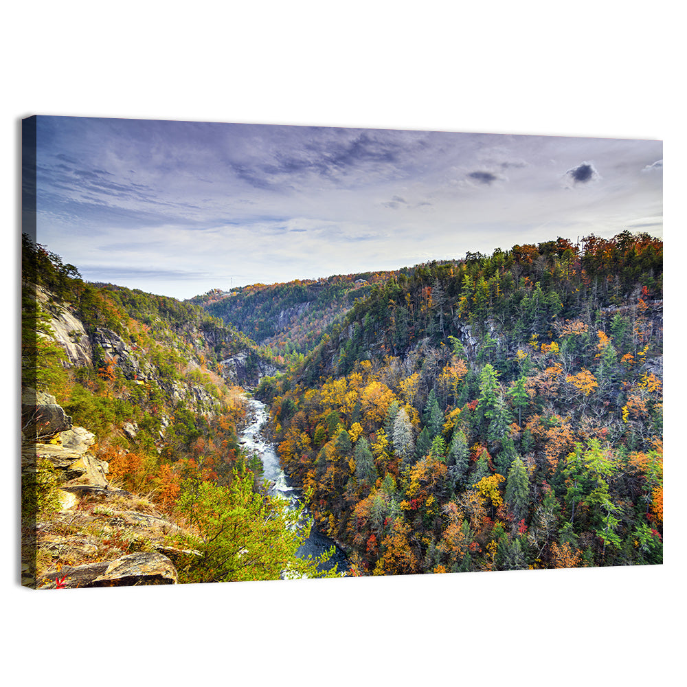 Tallulah Gorge Autumn Vista Wall Art