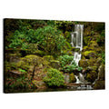 Secluded Mossy Waterfall Wall Art