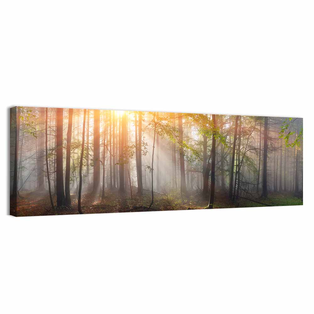 Carpathian Morning Forest Wall Art