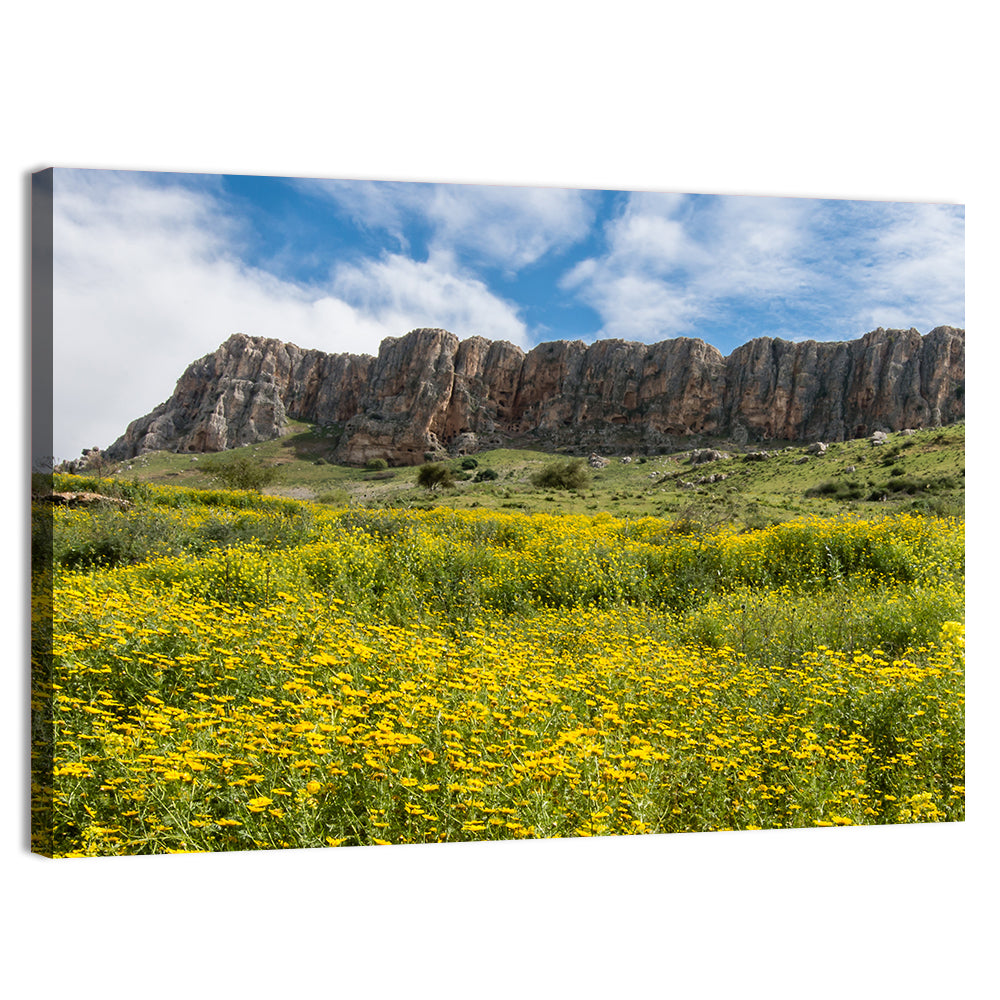 Mount Arbel Wildflower Meadow Wall Art, canvas print, landscape