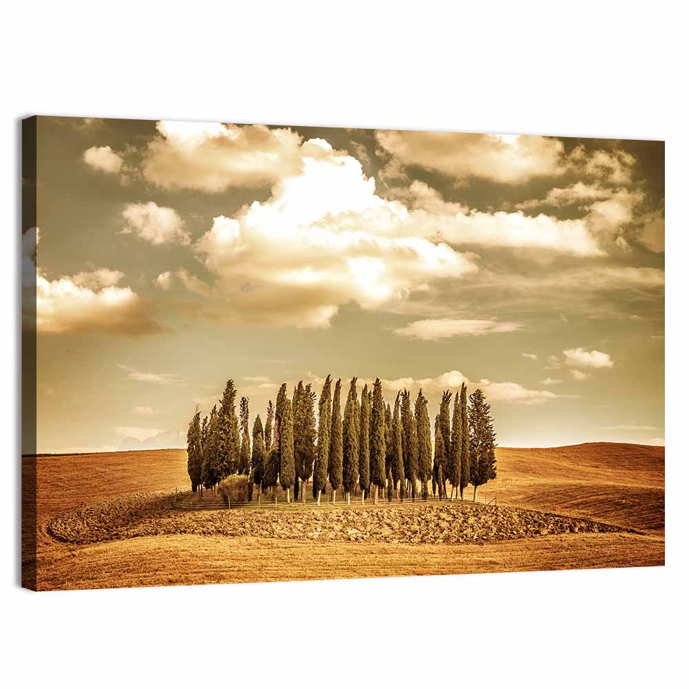 Tuscany Cypress Field Wall Art, canvas print, landscape