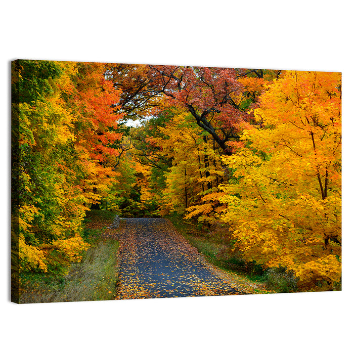 Autumn Road Through Wisconsin Park Wall Art as a canvas print