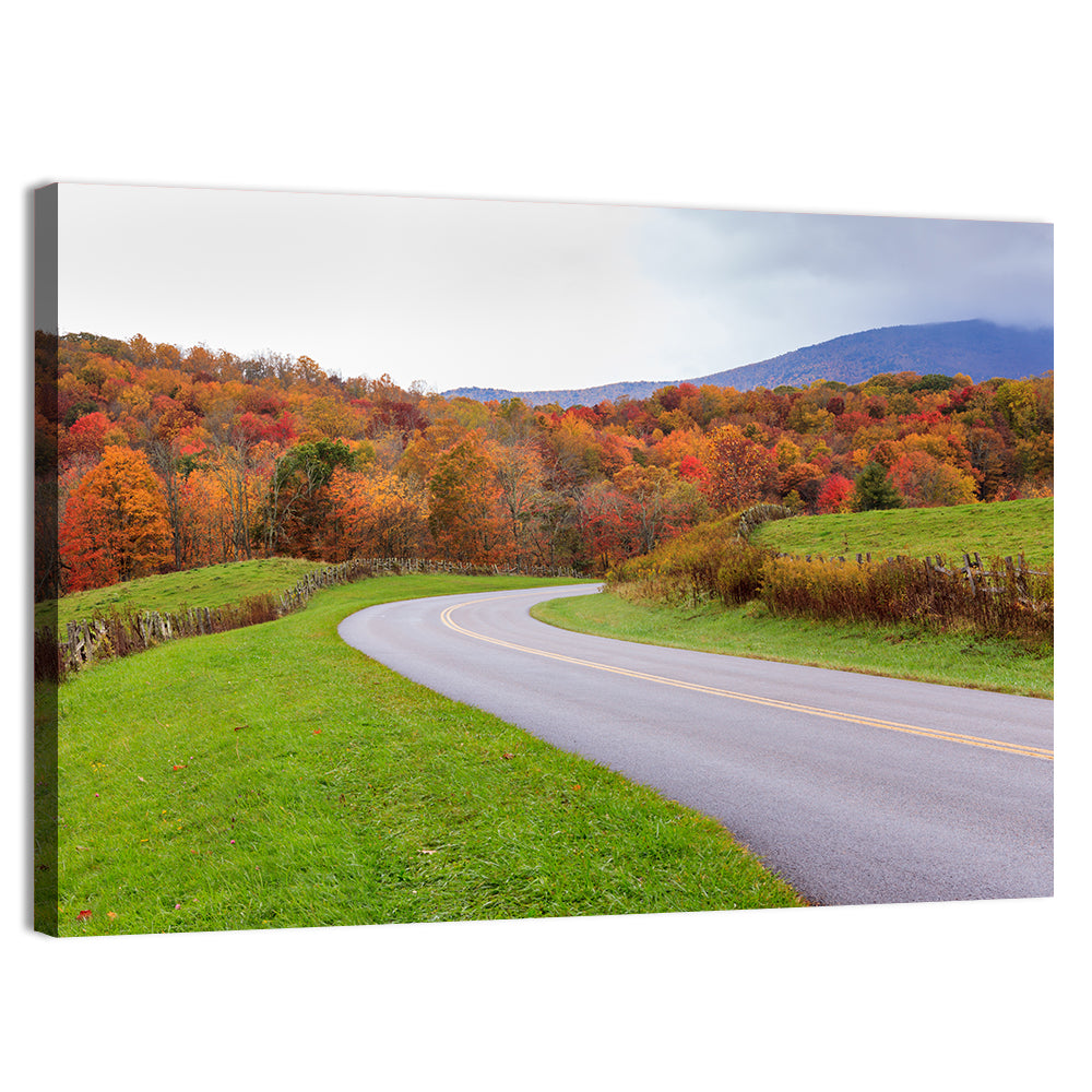 Curving Road Through Autumn Meadow Wall Art, canvas print, landscape