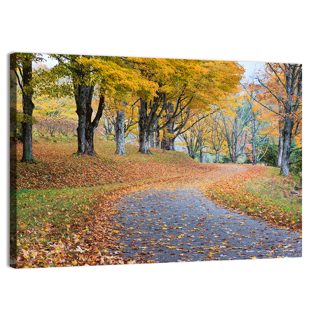 Autumn Road with Golden Canopy Wall Art