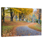 Autumn Road with Golden Canopy Wall Art