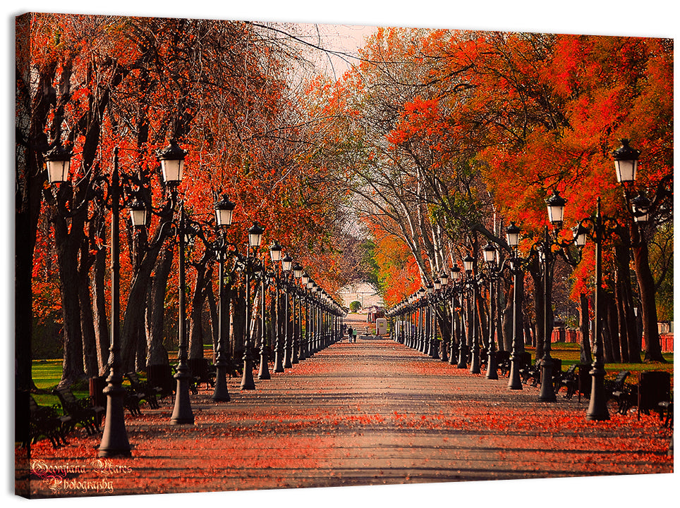 Autumn Park Path with Vintage Lampposts Wall Art, canvas print, landscape