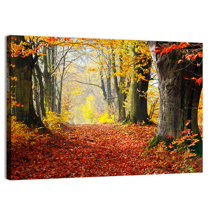 Misty Autumn Forest Path Wall Art as a canvas print