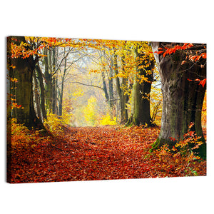 Autumn Forest Path Wall Art