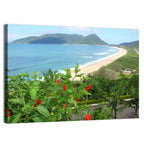 Armacao Beach Scene Wall Art