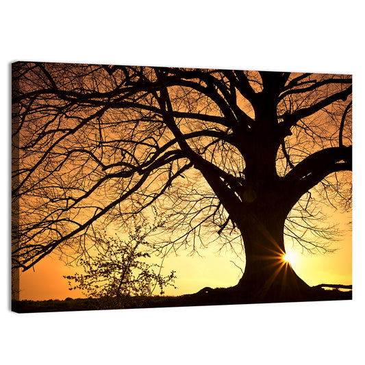 Willow Tree Sunset Wall Art